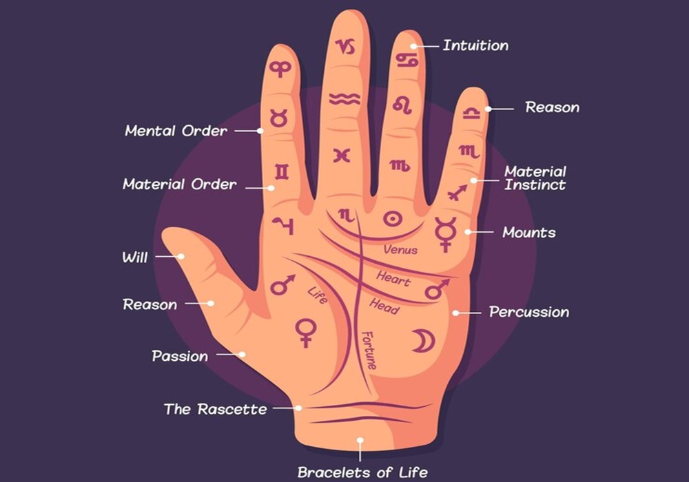 Palmistry - Palmist in Rajasthan